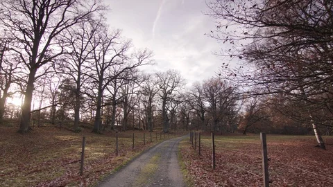 Dolly shot of Path Vídeo Stock 111347223