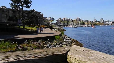 Dolly shot - people walking false creek seawall Stock Footage 37702153