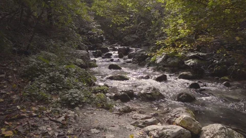 Dolly shot river slow motion Video stock 127648621