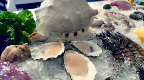 Dolly shot of seafood on the ice. Stock Footage 60603841