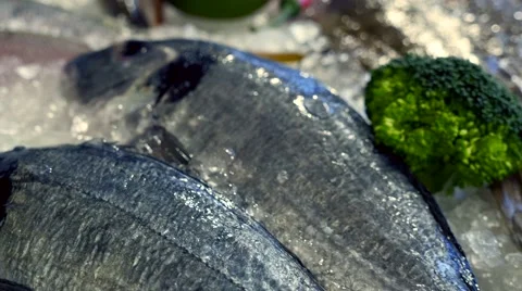 Dolly shot of seafood on the ice. Stock Footage 60603863