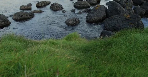 Dolly shot of a shore Video stock 81278437