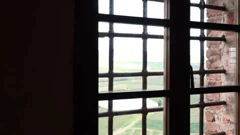 Dolly in shot of steel window with bars and external view on field with lake 動画素材 345438510