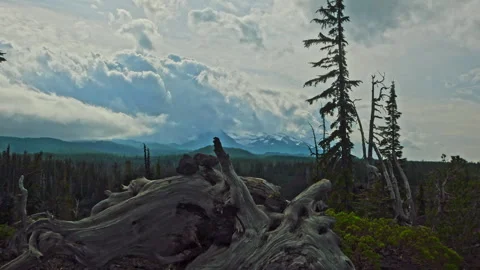 Dolly shot of storm clouds on North Sister from lava fields in McKenzie Pass Stockbeeldmateriaal 328960178