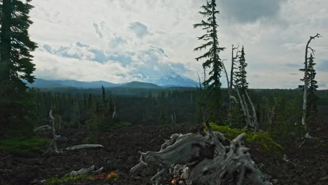 Dolly shot of storm clouds on North Sister from lava fields in McKenzie Pass Видео 329465421