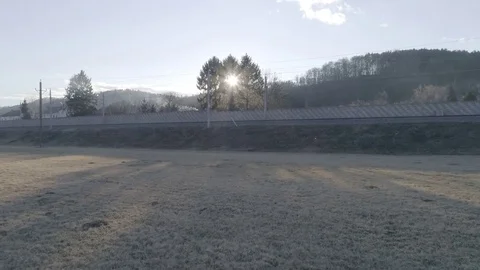 Dolly shot thru the field into old spruces revealing the morning sun, 4K Stock Footage 73101256
