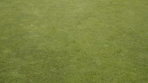 Dolly Shot, Tracking Shot, 10 Seconds Or Greater, Golf, Golf Course, Putting Stock Footage 94020470