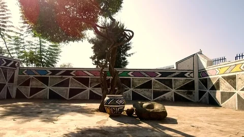 Dolly shot of a tree in the middle of a yard Stock Footage 89767065