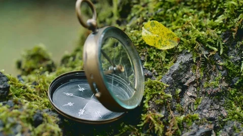 Dolly shot of a vintage compass on the tree trunk Stock Footage 97462602