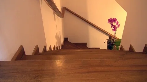 Dolly shot of wooden staircase in cozy home/cottage with orchid flower Stock Footage 83242953