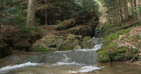Dolly shots of the stream in the Europe, spring, 4k Stock Footage 89644936