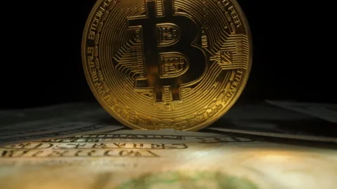 Dolly slider, close up. Close-Up of Golden Bitcoin Coin Standing Upright on a Stock Footage 296559854