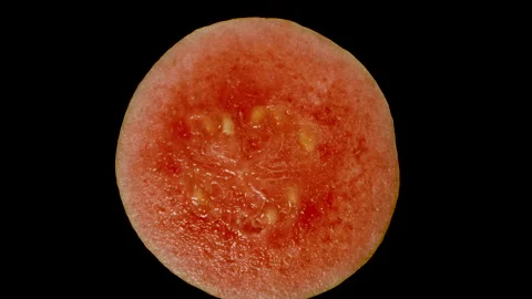 Dolly Slider Close-Up of Rotating Falling Guava Half Showing Pink Juicy Flesh Stock Footage 311027219