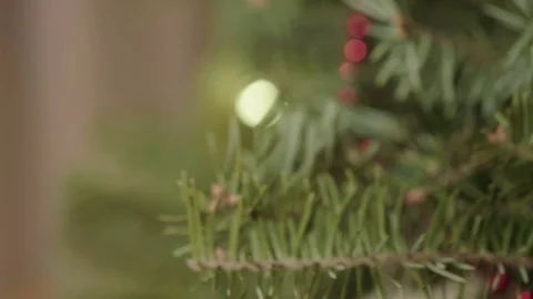Dolly slider movement past a red ornament on Christmas tree. Video stock 71104643