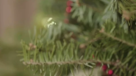 Dolly slider movement past a red ornament on Christmas tree. 動画素材 71104720