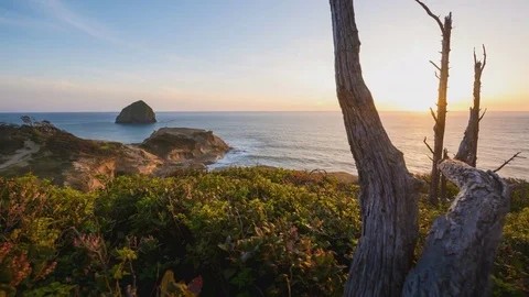 Dolly slider time lapse of sunset with dead tree and foliage pacific city oregon Stock Footage 79901575