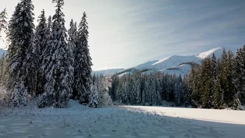 Dolly smooth shot of panoramic winter landscape with pine forest and mountains Stock Footage 263085345