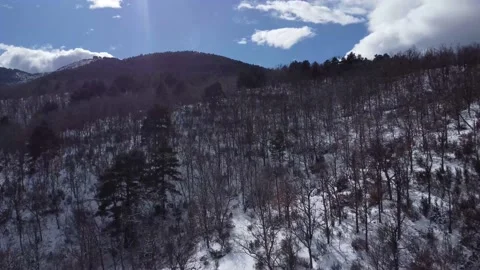 Dolly in - Snow mountain trees Stock Footage 158547543