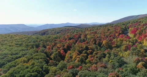 Dolly Sods Wilderness area fall colors in the mountains of West Virginia Stock-Footage 229291203