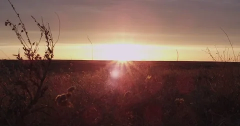 Dolly at sunset along sagebrush plain as truck drives on dirt road Video stock 75175504