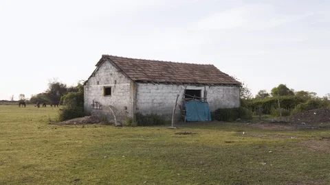 Dolly in sunset in bird paradise plain with small house and trees Stock Footage 113673482