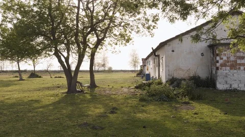 Dolly in sunset in bird paradise plain with small house and trees Stock Footage 113673568