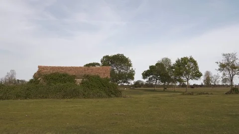 Dolly in sunset in bird paradise plain with small house and trees Stock Footage 113673683