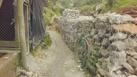 Dolly In Through An Entrenched Pathway In Ecuador Stock Footage 94736294