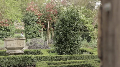 Dolly through garden Stock Footage 51732484