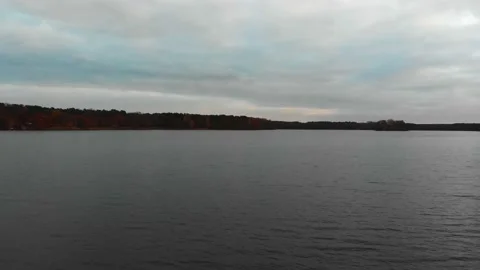 Dolly in through plants onto calm lake  Stock Footage 144437035