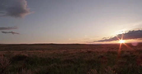 Dolly through sagebrush at sunset on prairie Stock Footage 82296053