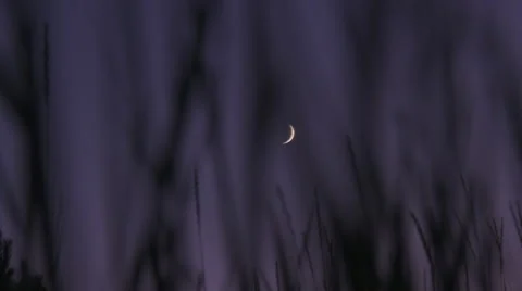 Dolly thru Grass - Crescent Moon Stock Footage 43162084