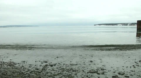 Dolly in tilt-down water beach Stock Footage 32347203