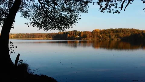 Dolly in with tree over lake during golden hour Stock Footage 135526852