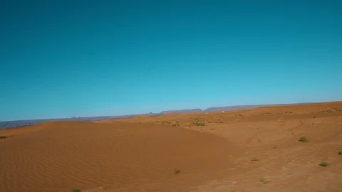 Dolly Vegetation Desert Stock Footage 100634917