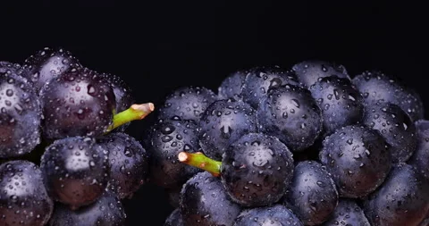 Dolly video of grapes. Video stock 153919484