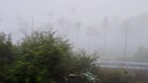 Dolly view from moving train through foggy landscape showing misty nature a.. 스톡 동영상 334793386