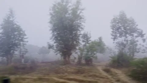 Dolly view from moving train through foggy landscape showing misty nature a.. 스톡 동영상 334793456