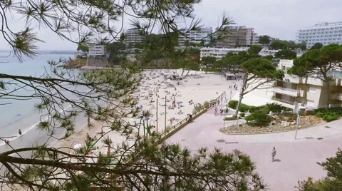 Dolly view of the sunny sand beach from above Stock Footage 63757182