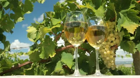 DOLLY: White Grape and Wine Stock Footage