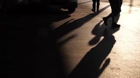 Dolly worker Stock Footage 53496155