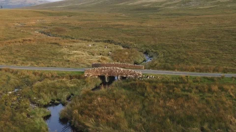 Dolly zoom effect of an old bridge Stock-Footage 127484125