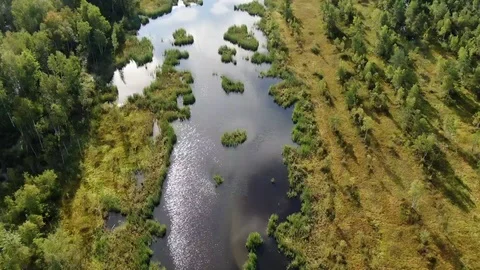 Dolly zoom effect shooting forest lake from height Stock Footage 116234591