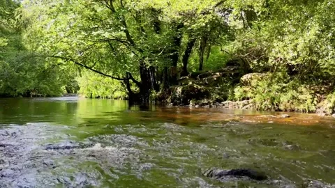 Dolly in Zoom Out River Dart on Dartmoor Video stock 336719952