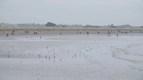 Dollymount strand Video stock 170895309