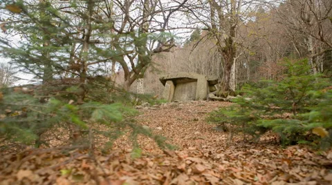 Dolmen in the forest Stock-Footage 52383829