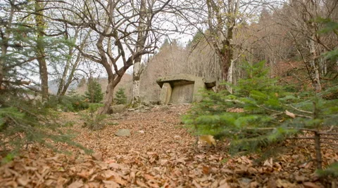 Dolmen in the forest Stock-Footage 52383831
