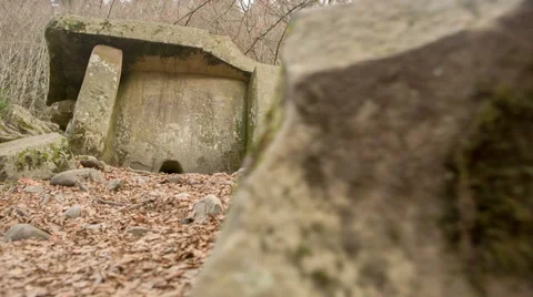 Dolmen in the forest 스톡 동영상 52384057