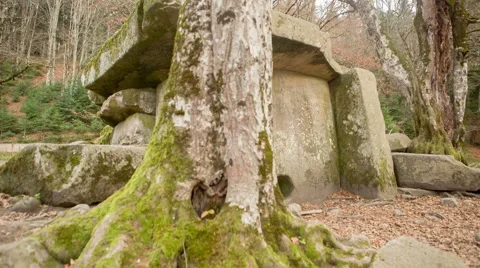 Dolmen in the forest Видео 52384234
