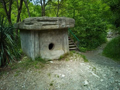 Dolmen in the forest Foto stock